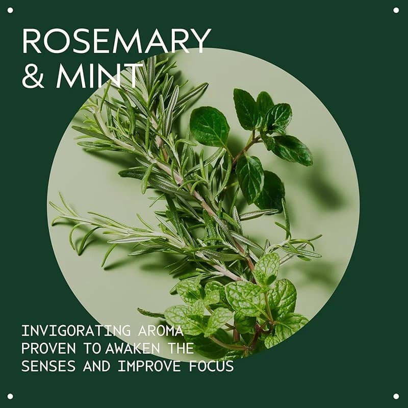 Aveda Rosemary Mint Purifying Shampoo | Clarifying Shampoo | Gently — image 6
